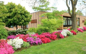 Blikvangers-Japanse zentuin