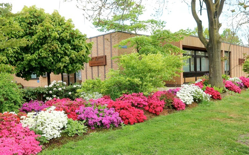 Blikvangers-Japanse zentuin