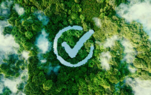 Welke rol speelt bewustzijn bij Corona?