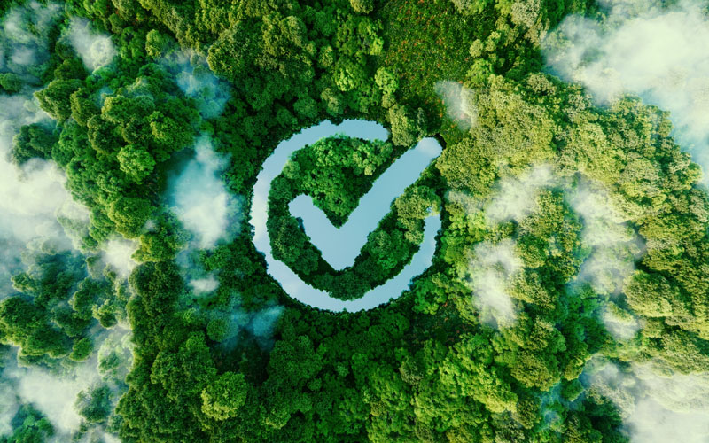 Welke rol speelt bewustzijn bij Corona?