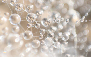 Wat doet straling in je lichaam?