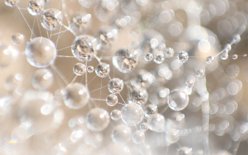 Wat doet straling in je lichaam?