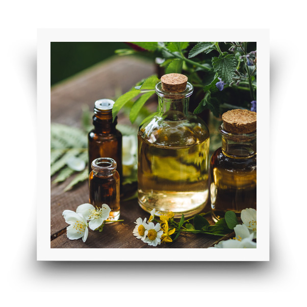 Basis&Balans InformatieAvonden