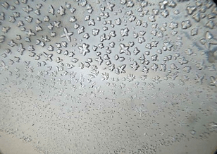 Wat doet straling in je lichaam