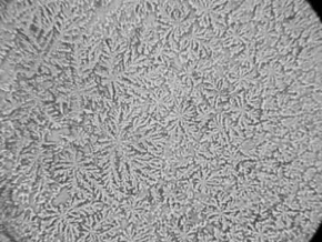 Wat doet straling in je lichaam