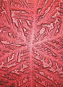 Wat doet straling in je lichaam