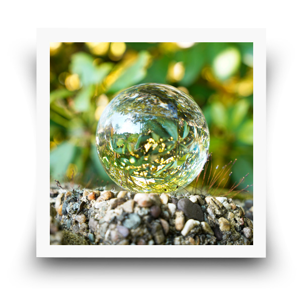 Workshops Energie en Bewustzijn